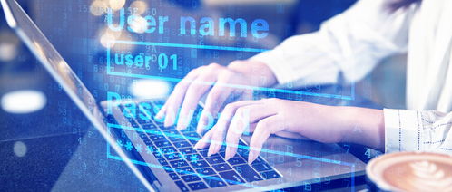 ?？朴嬎銠C專業(yè)涵蓋的數據處理服務領域詳解