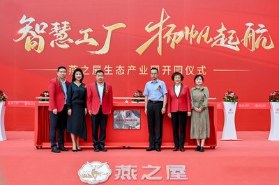 知識產(chǎn)權(quán)服務 國家知識產(chǎn)權(quán)優(yōu)勢企業(yè)的核心競爭力